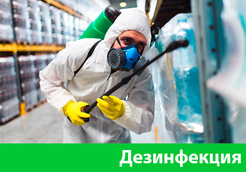 Дезинфекция в городе Копейск