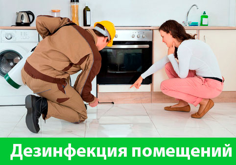 Дезинфекция офисов от коронавируса в городе Копейск