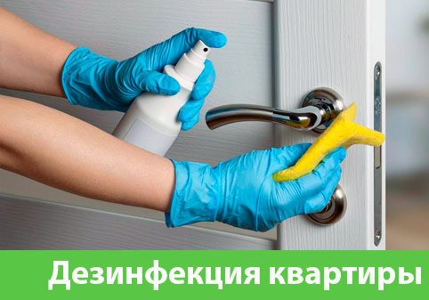 Дезинфекция квартиры в городе Копейск