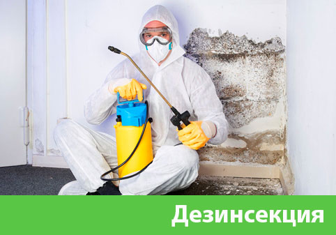 Дезинсекция в городе Копейск