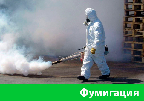 Фумигация в городе Копейск