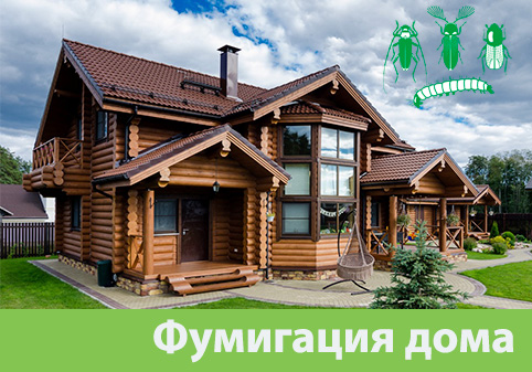 Преимущества обработки газом в городе Копейск