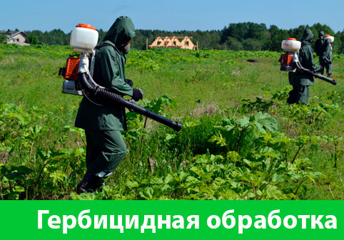 Гербицидная обработка в городе Копейск
