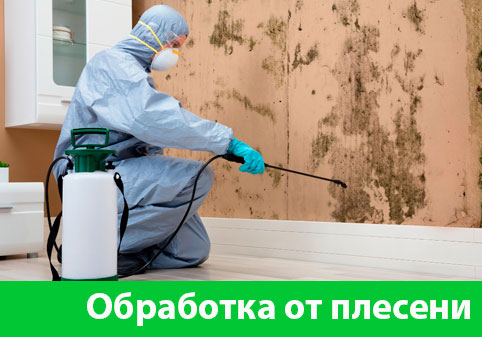 Обработка от плесени в городе Копейск