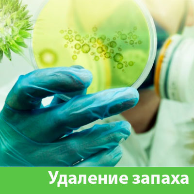 Удаление запахов в Копейске