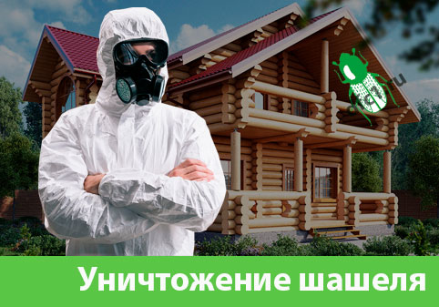Уничтожение шашеля и личинок в Копейске