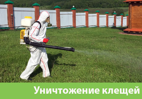 Уничтожение клещей в городе Копейск