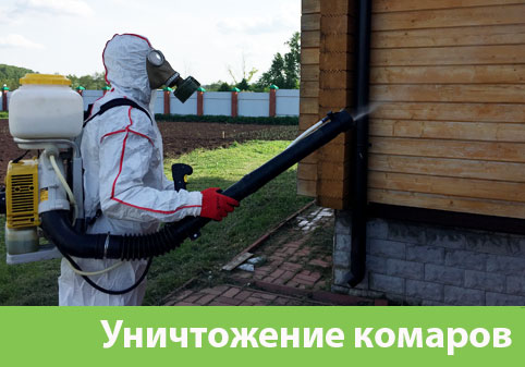 Уничтожение комаров в городе Копейск