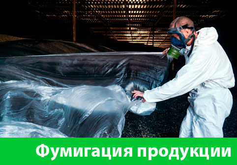 Фумигация продукции в городе Копейск